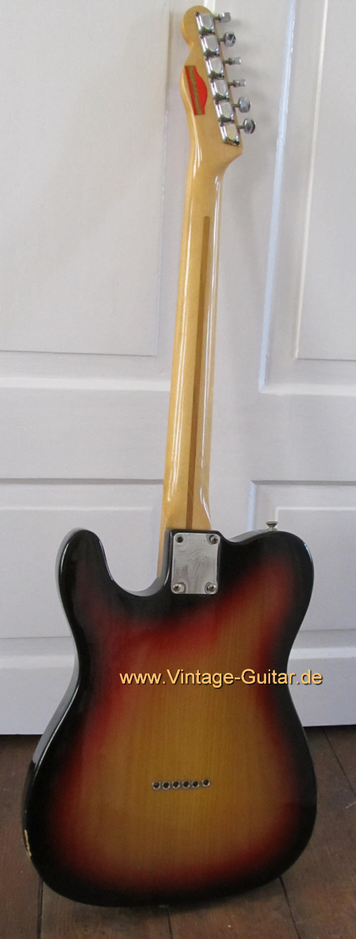 Fender Telecaster 1975 sunburst back.jpg